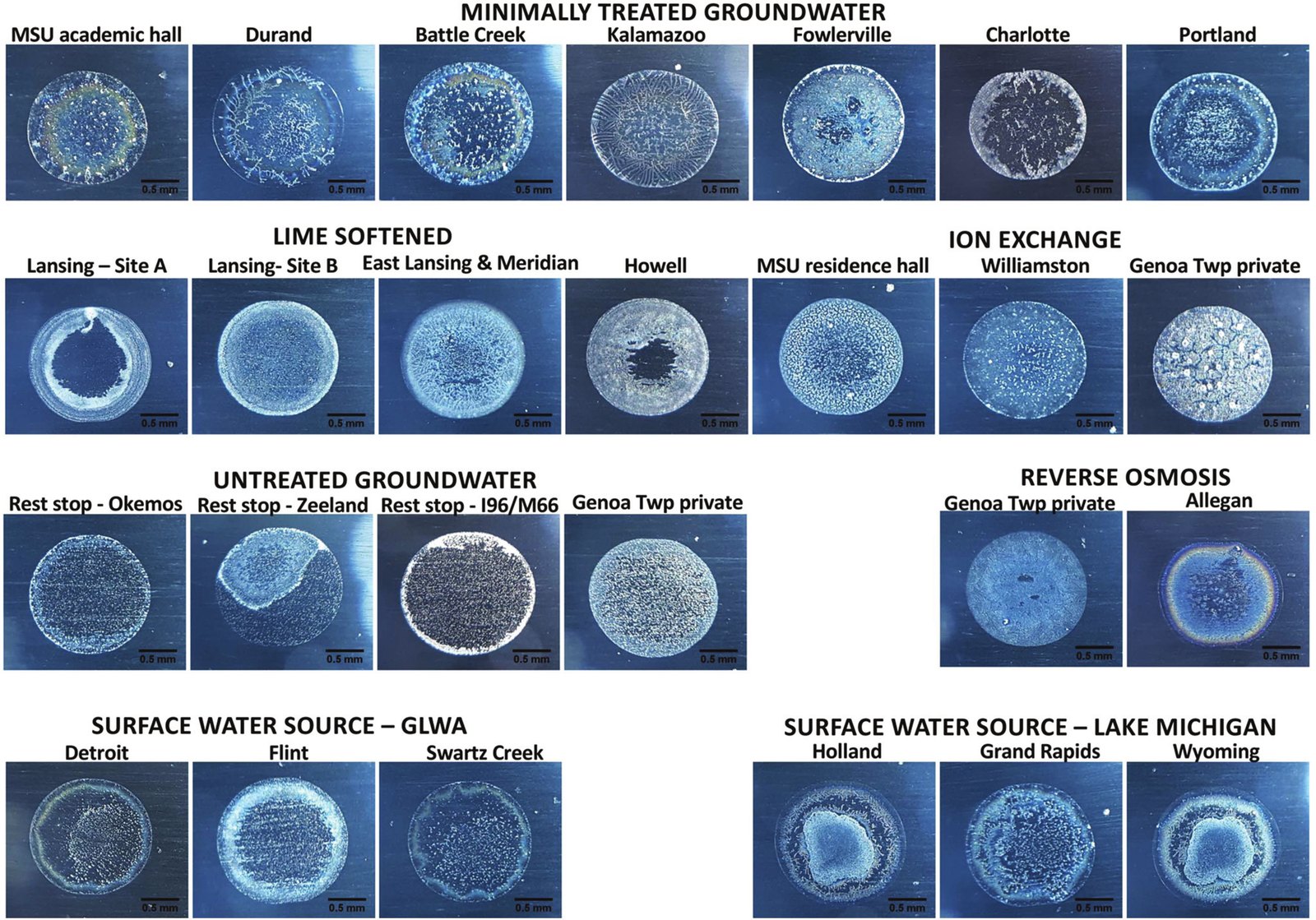 Grid of coffee-ring images of tap water samples