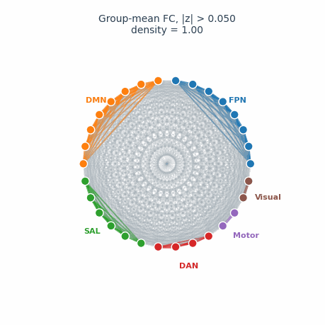 Animated network sweep of stability under cognitive load