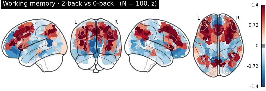 Animated task activation maps on the cortex