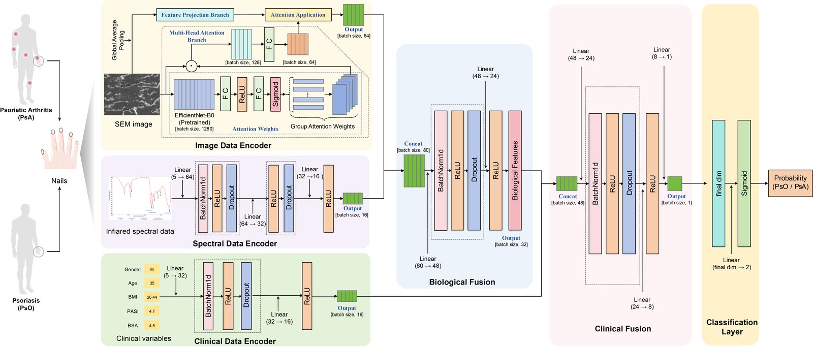 Overview of the multimodal psoriasis diagnosis framework